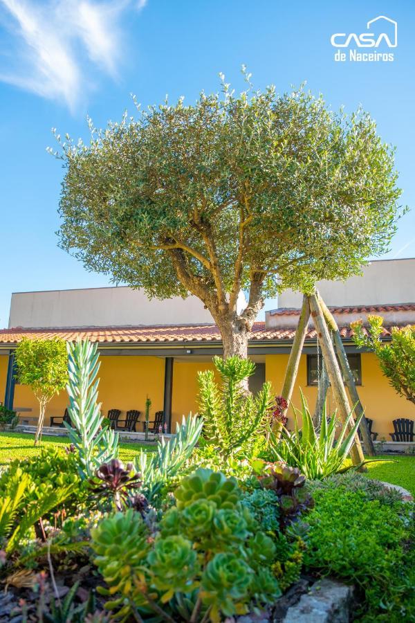 Casa De Naceiros - Ponte De Lima Villa Виана до Кастело Екстериор снимка